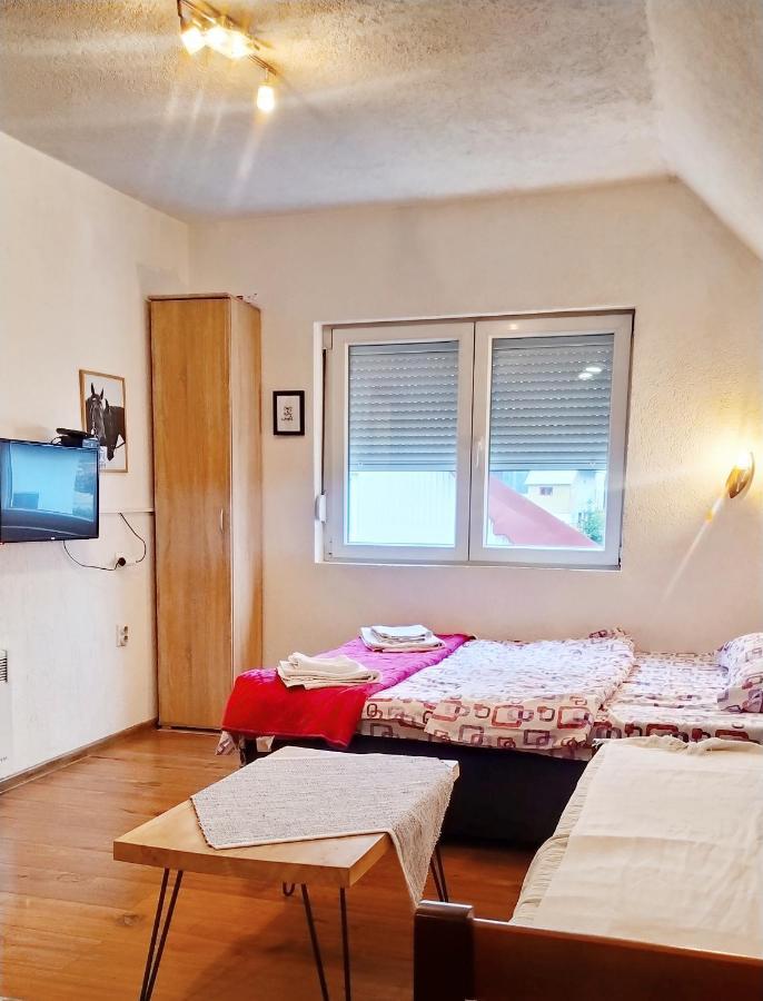 Apartmani Bozana Vojinovic Žabljak Екстериор снимка