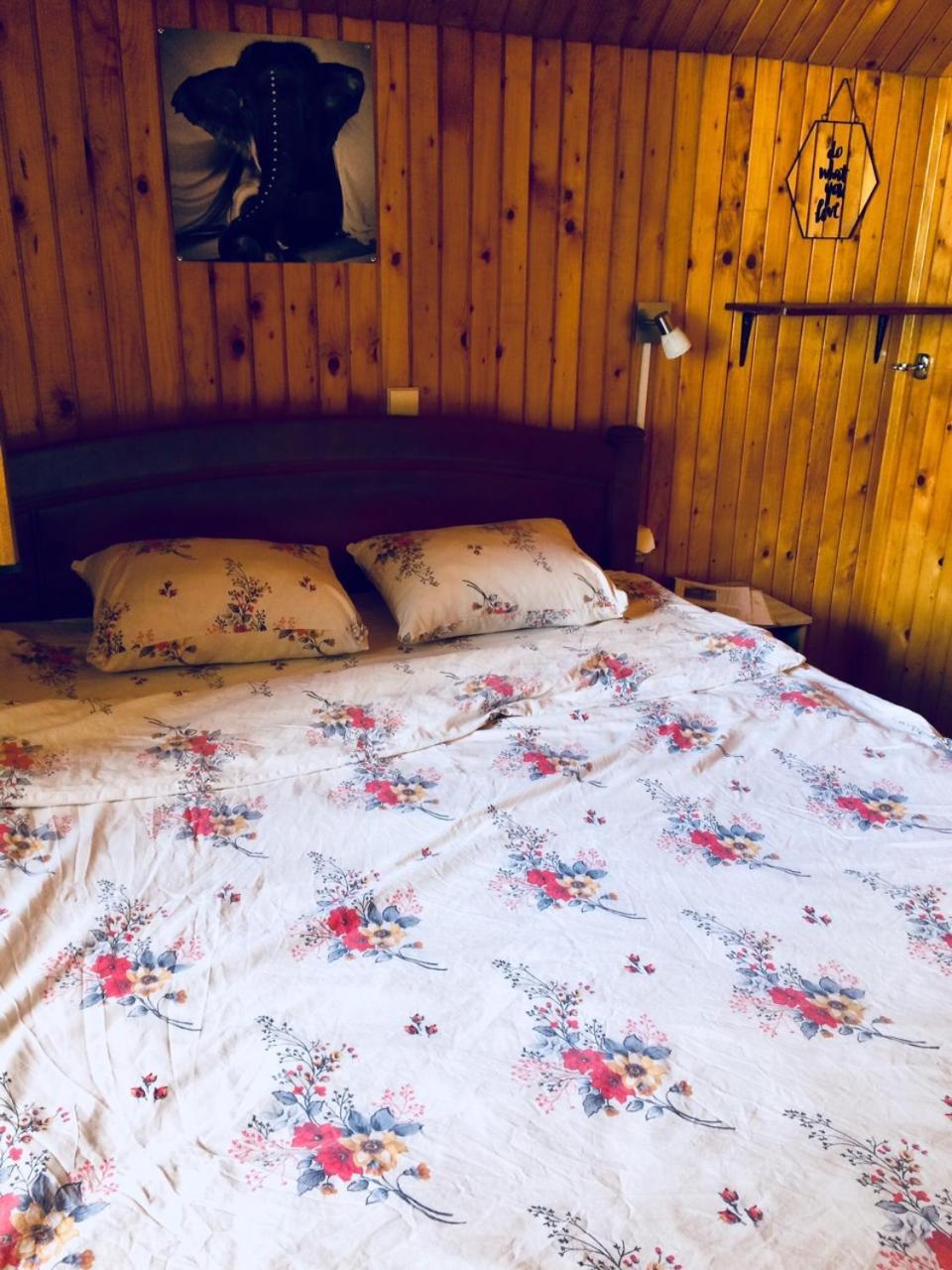 Apartmani Bozana Vojinovic Žabljak Екстериор снимка