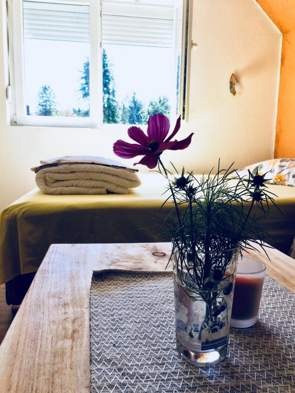 Apartmani Bozana Vojinovic Žabljak Екстериор снимка